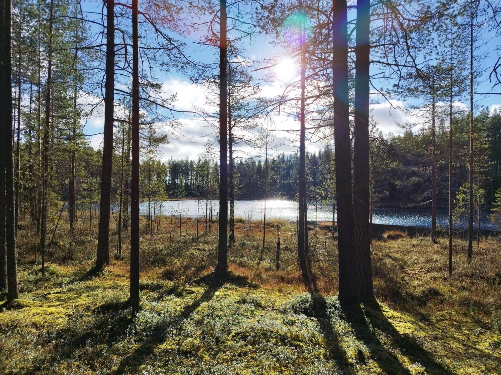 Villa Saapungin Lomat Kuusamo Exterior foto